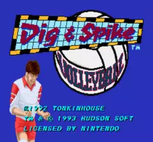 Image n° 7 - screenshots  : Dig & Spike Volleyball